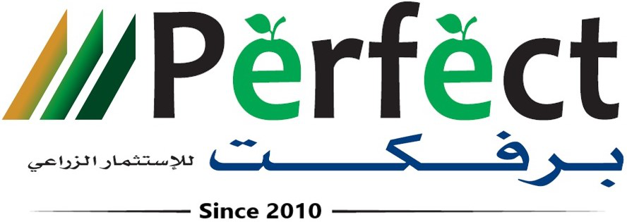 الشعار